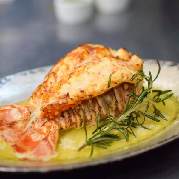 Grilled lobster tail with rosemary sprigs in a pool of butter sauce on a white plate.